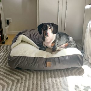 Cama Envelope Pet com Coberta Cinza - Gg