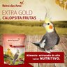 Ração Extra Gold Calopsita Frutas 400Gr - Reino Das Aves - 2