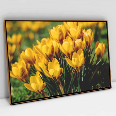 Quadro Decorativo em Canvas Floral Flores Amarela TaColado Moldura Flutuante 4,5cm Freijó 60 x 40cm