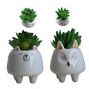 Ver imagem 1 de Plantinha Artificial Suculenta Cacto Toque Realista Casa 2un