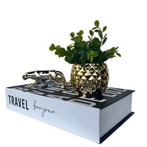 Decoração Sala Livro Fake + Vaso Abacaxi + Enfeite Pantera