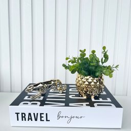 Decoração Sala Livro Fake + Vaso Abacaxi + Enfeite Pantera - 3