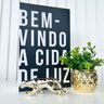 Decoração Sala Livro Fake + Vaso Abacaxi + Enfeite Pantera - 4