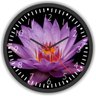 Relógio de Parede Para Cozinha Flor PM18 - 1