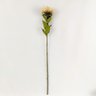 Haste De Protea Branca 75x13cm Flor Planta Artificial - 2