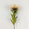 Haste De Protea Branca 75x13cm Flor Planta Artificial - 3