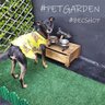 Grama Sintética 12mm (3m²) Petgarden® 2,00m x 1,50m - 2