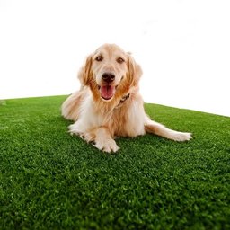 Grama Sintética 12mm (3m²) Petgarden® 2,00m x 1,50m - 1