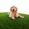 Grama Sintética 12mm (3m²) Petgarden® 2,00m x 1,50m - 1