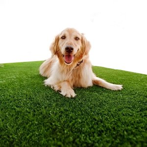Grama Sintética 12mm (4m²) Petgarden® 2,00m x 2,00m