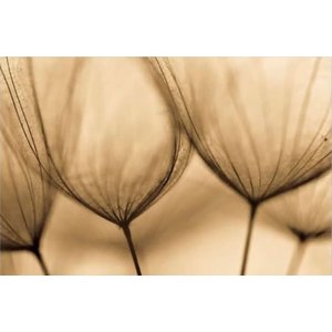 Quadro Decorativo Floral Moderno, Tela em Canvas ideal para  Sala, Quarto e Hall (100x70 cm)