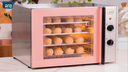 Ver imagem 2 de Forno Elétrico Turbo Profissional 4 esteiras 220v Anodilar:Rosa