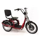 Ver imagem 1 de Triciclo Elétrico Lithium Freio a Disco com Ré Farol e Alarme Fox Vermelho - Duos Bike