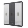 Guarda-Roupa Casal 6 Portas 2 Gavetas Chile Niquel e Branco - 1