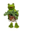 Ver imagem 1 de Vaso Sapo Floreira Unidade