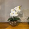 Arranjo Toque Real Centro De Mesa Orquídea Branca Artificial Decore Fácil Shop - 3