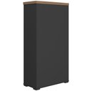 Ver mais imagens de Armário para Escritório com Chave Office Multiuso Atria Executiva A02 Nogal Preto - Lyam Decor