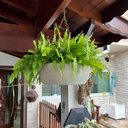 Ver imagem 4 de Vaso Planta 35x15 Pendurar Samambaia Trepadeira Polietileno BGPLASTICOS V1435 BEGE CASTANHA 012