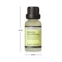 Ver imagem 3 de Essência Concentrada Acqua Aroma 20ml Bambu Chinês