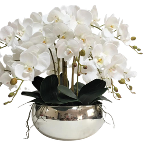 Arranjo No Vaso Cascata de 8 Flores Orquídeas Brancas Real