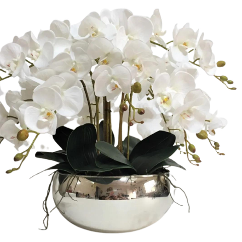 Arranjo No Vaso Cascata de 8 Flores Orquídeas Brancas Real