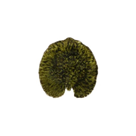 Folha Alquemila 18 Cm Vereda