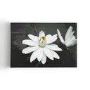 Ver imagem 1 de Quadro Nenúfar Branco Lírio Lótus Flores Canvas 100x70cm