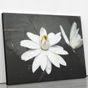 Ver imagem 2 de Quadro Nenúfar Branco Lírio Lótus Flores Canvas 100x70cm