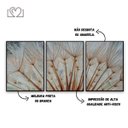 Ver imagem 3 de Quadro Para Sala Decorativo Dente de Leão Dandelion Flor Kit Moldura - BRANCO - KIT COM 3 QUADROS DE