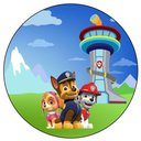 Ver imagem 3 de Brinquedo Patinete Infantil Patrulha Canina 3 Rodas com Luz.