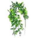 Ver imagem 3 de Planta Pendente Artificial (70 Cm) Verde Smo