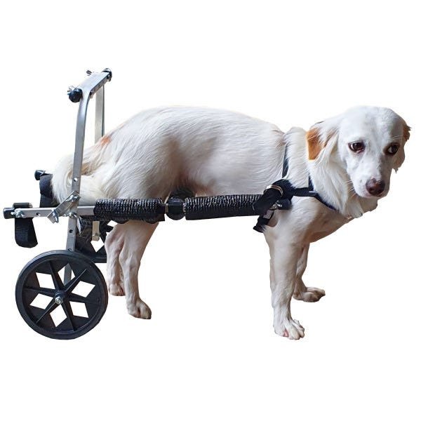 Cadeira De Rodas Para Cão Cachorro de Pequeno Porte 3,5 a 7 Kg Regulável