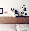 Ver imagem 4 de Conjunto Espelho Místico Celestial Esotérico Decorativo