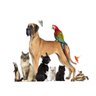 Papel De Parede Animais Cão Gato Papagaio 3D Anm111 3M² - 2