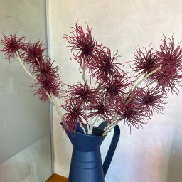Haste Flor de Protea - Unidade Vinho Mescla - 1