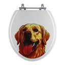 Ver imagem 1 de Assento Sanitário Decorado Golden Convencional para Vaso Deca