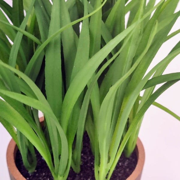 Capim Verde Com Vaso 20x19cm Folhagem Planta Artificial - 5