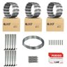 Cerca concertina simples galvanizada 45cm 30 metros com kit - 2