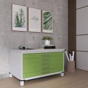 Ver imagem 1 de Mapoteca Mont 5 Gavetas 71,3cm x 120,4cm Aço Branco/Verde Miró