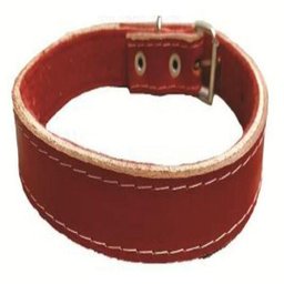 Coleira De Couro Dupla N9 29Mm X 70 Cm - Az1365 - 1