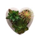Ver imagem 3 de Vaso Decorativo de Concreto Coração Com Suculenta 11cm HL House