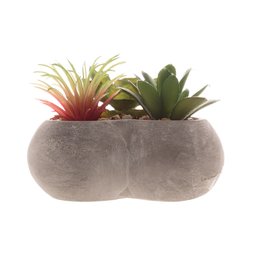 Vaso Decorativo de Concreto Coração Com Suculenta 11cm HL House - 4