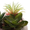 Ver imagem 2 de Vaso Decorativo de Concreto Coração Com Suculenta 11cm HL House