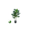 Ver imagem 1 de Ficus Lyrata Permanente