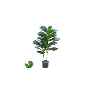 Ficus Lyrata Permanente