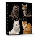 Ver imagem 1 de Livro Caixa Decorativo Book Box Gatos Luxury