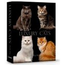 Ver imagem 3 de Livro Caixa Decorativo Book Box Gatos Luxury