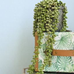 Arranjo de Planta Pendente Artificial no Vaso Cimento | Formosinha - 1