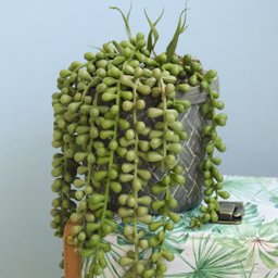 Arranjo de Planta Pendente Artificial no Vaso Cimento | Formosinha - 3