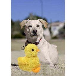 Brinquedo Pet Look Who´s Talking: Pintinho amarelinho - 2